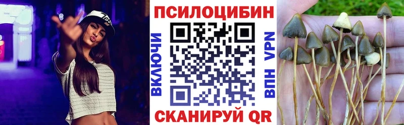 Галлюциногенные грибы Psilocybe  Купить закладки  Зуевка 