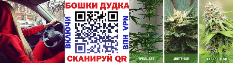 Купить  Зуевка  Конопля ГИДРОПОН 